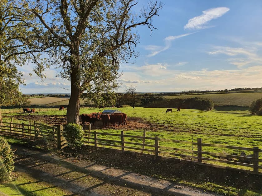 Surrounding area | Lizzie’s Cottage, Fordington
