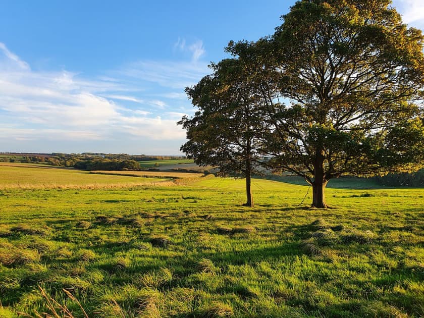 Surrounding area | Lizzie’s Cottage, Fordington