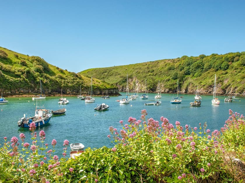 Cwm Eithin (Cerbid), Cerbid