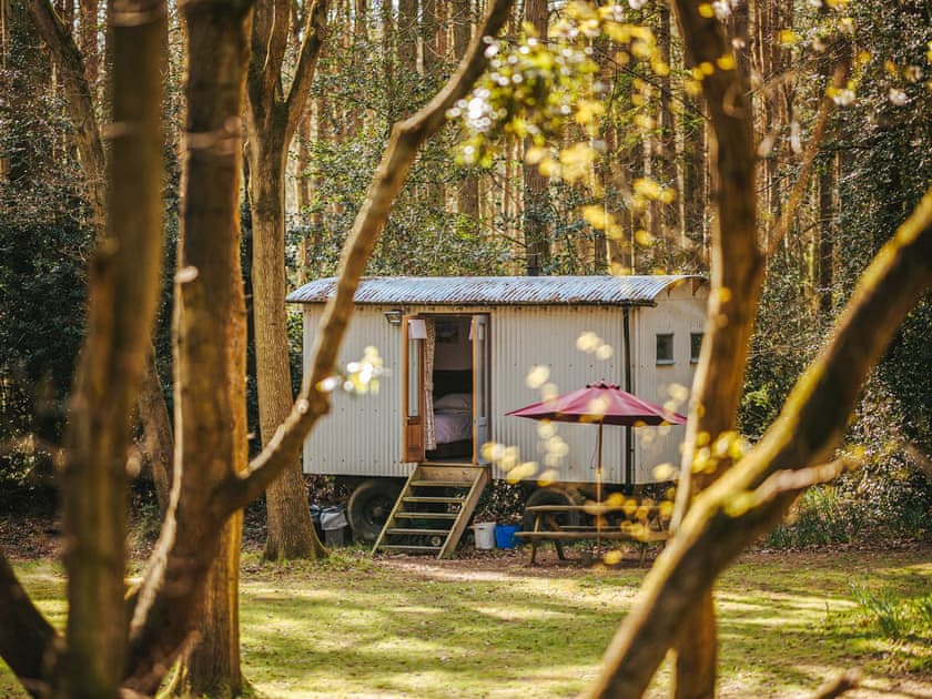 Goosewing Hut | Rosslyn Glamping, Melton Constable