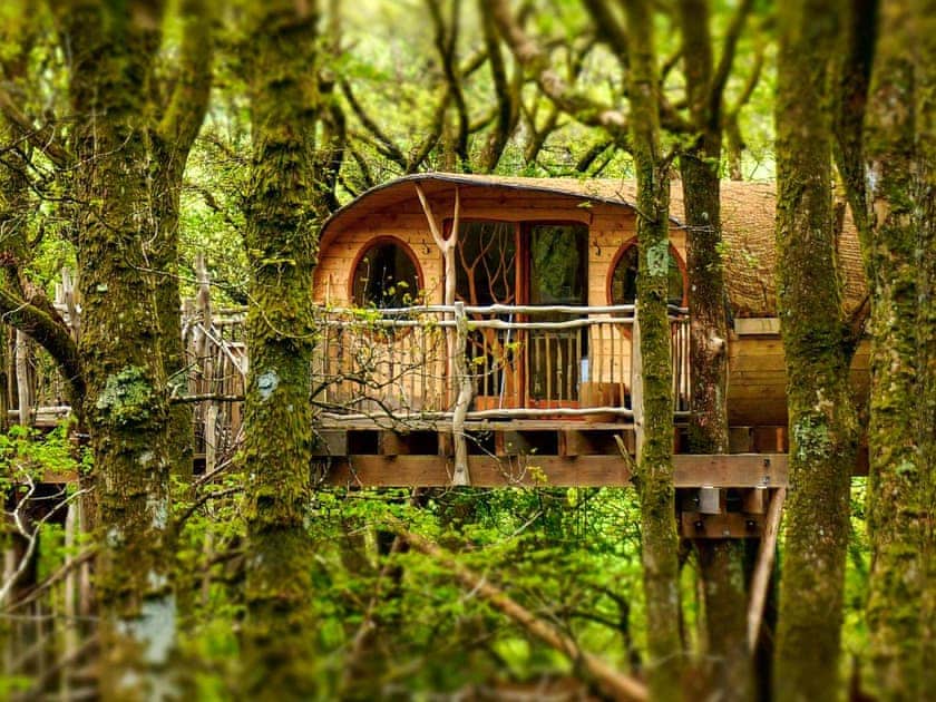 Ty Mawr - Pen Y Graig Treehouses, Newtown