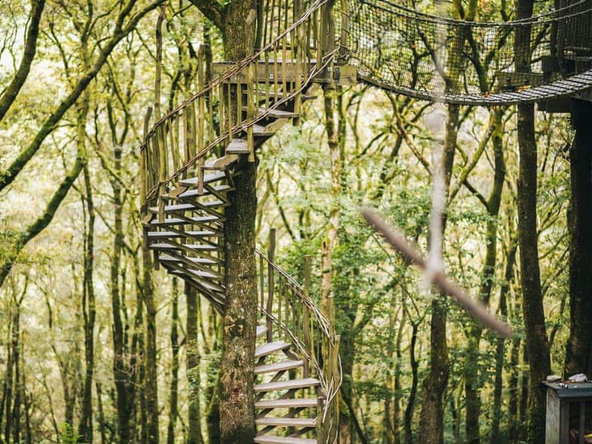 Ty Mawr - Pen Y Graig Treehouses, Newtown