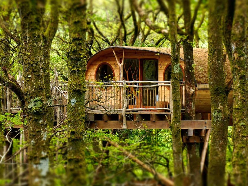Bryn Meurig Bach - Pen Y Graig Treehouses, Newtown