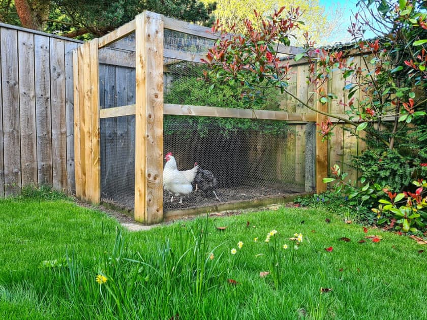 Garden | Rose Cottage, Wooley, near Hexham