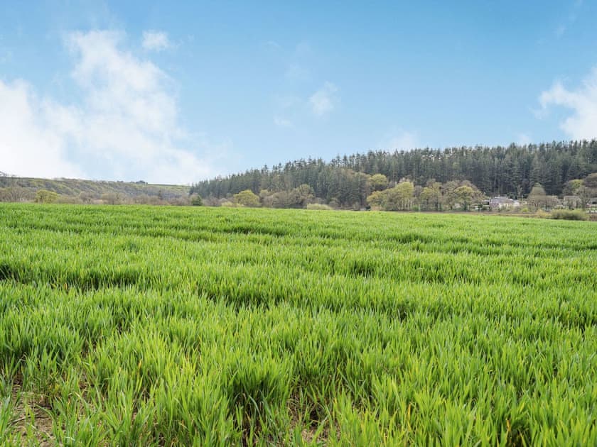 View | Cefn Gelli, Gelli, near Narberth