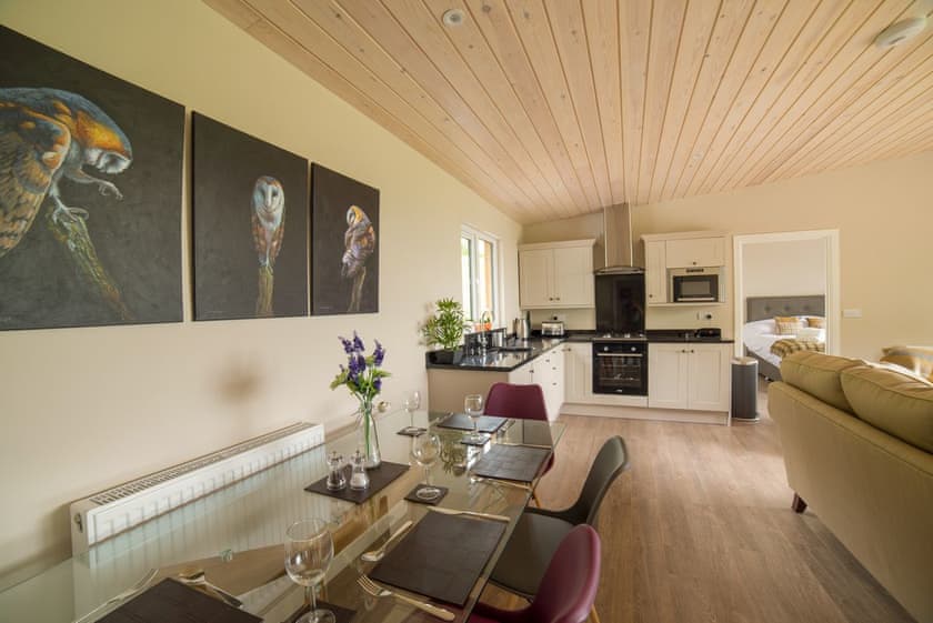 Barn Owl Lodge - Bechan Retreats, Newtown