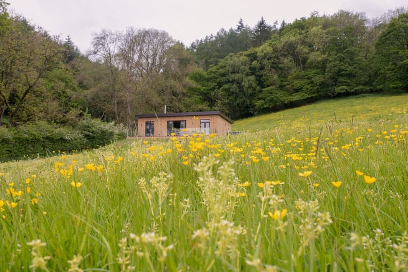 Barn Owl Lodge - Bechan Retreats, Newtown
