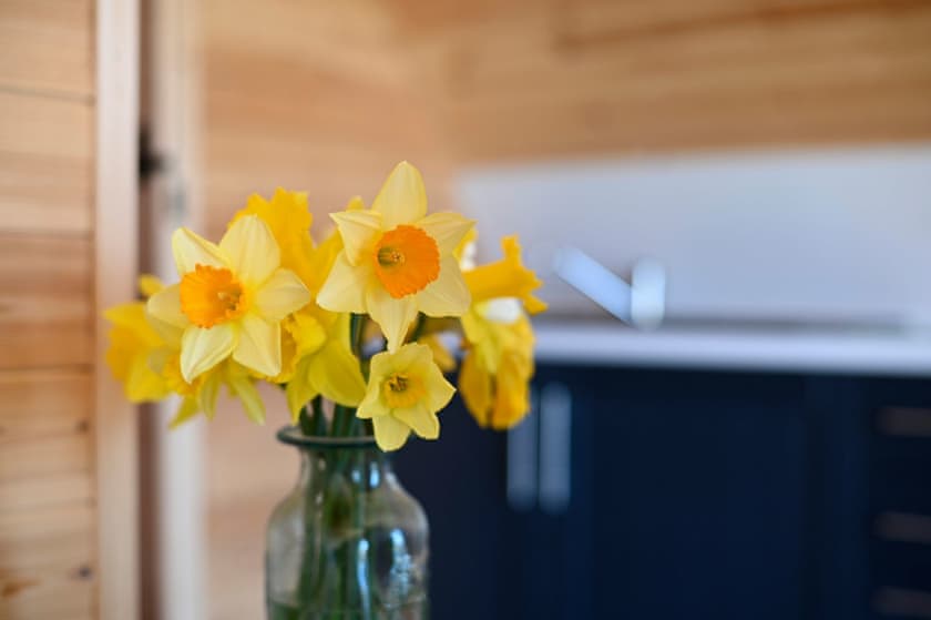 Cledan Cabin - Cwmllwyd Getaways, Newtown