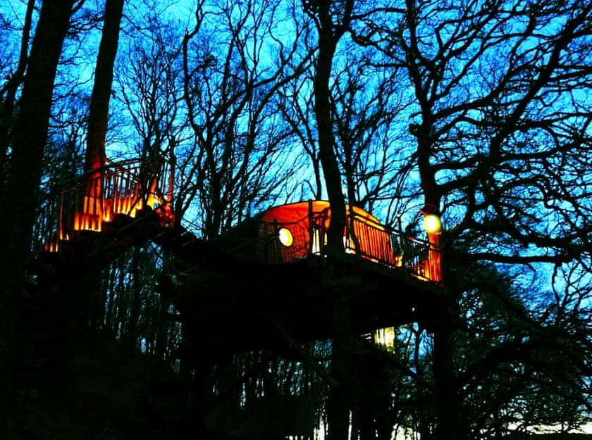 Pen y Bryn - Pen Y Graig Treehouses, Newtown