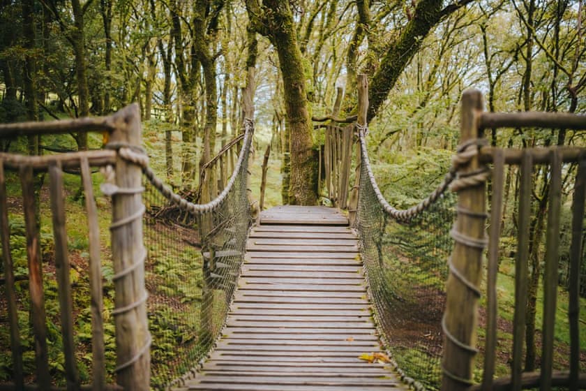 Pen y Bryn - Pen Y Graig Treehouses, Newtown