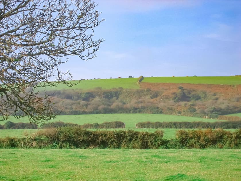 Surrounding area | Bee Cottage, Hayle
