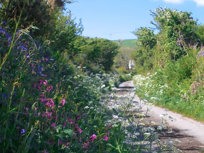 Surrounding area | Bee Cottage, Hayle