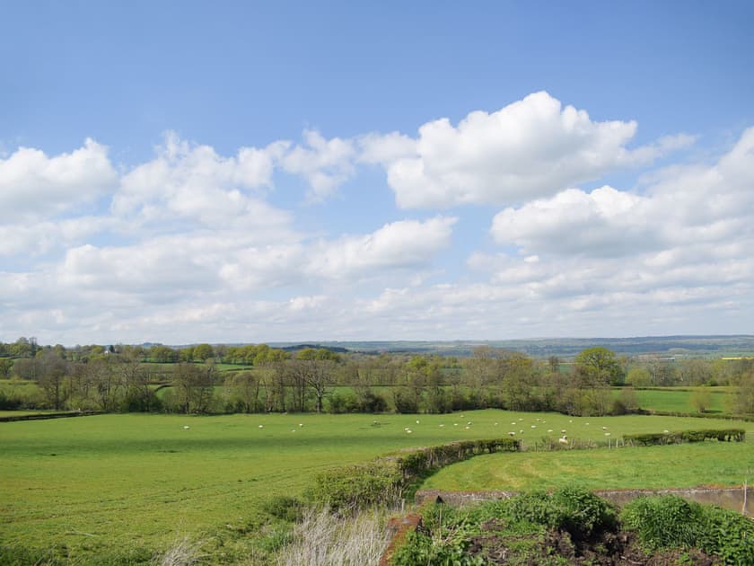Setting | Horsecroft - East View Farm, Westbrook