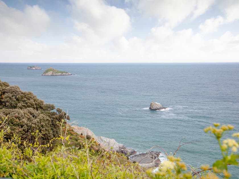 Surrounding area | Lower Stables Apartment - Meadfoot Bay, South Devon