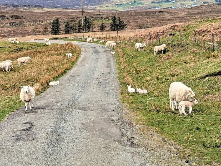 Driveway | The Beach House, Uiginish, near Dunvegan