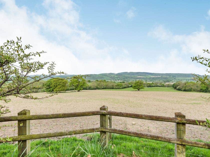Garden and grounds | Edderton Hall Country House, Welshpool