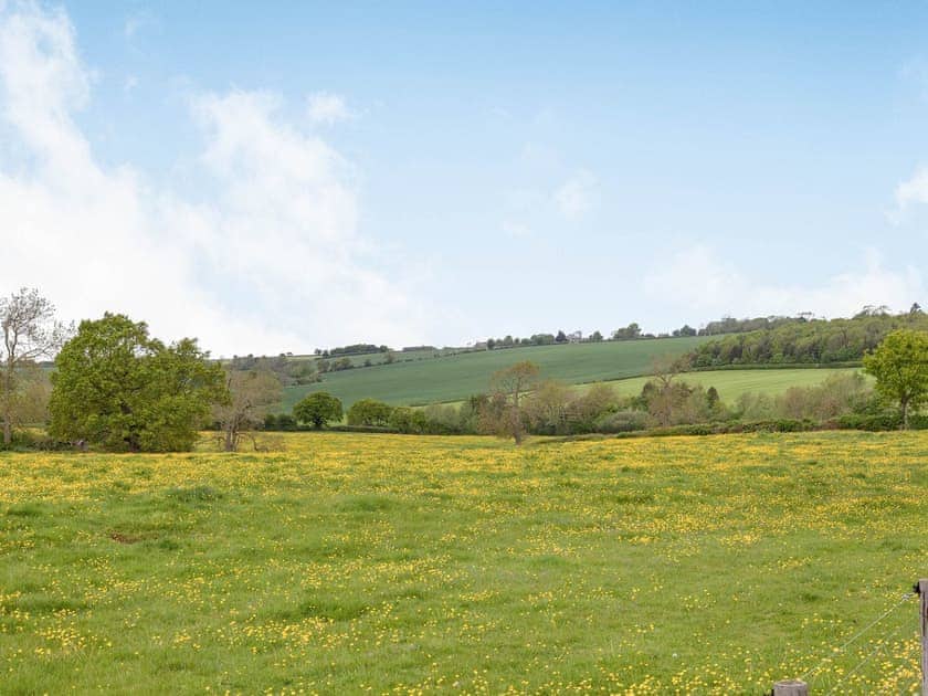 View | The Tack Room - Castle Chase Cottages, Ayston, Nr Uppingham