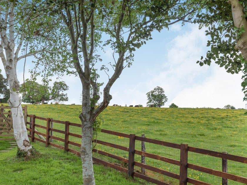 View | The Tack Room - Castle Chase Cottages, Ayston, Nr Uppingham