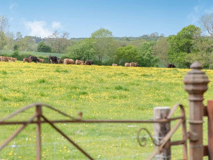 View | The Tack Room - Castle Chase Cottages, Ayston, Nr Uppingham