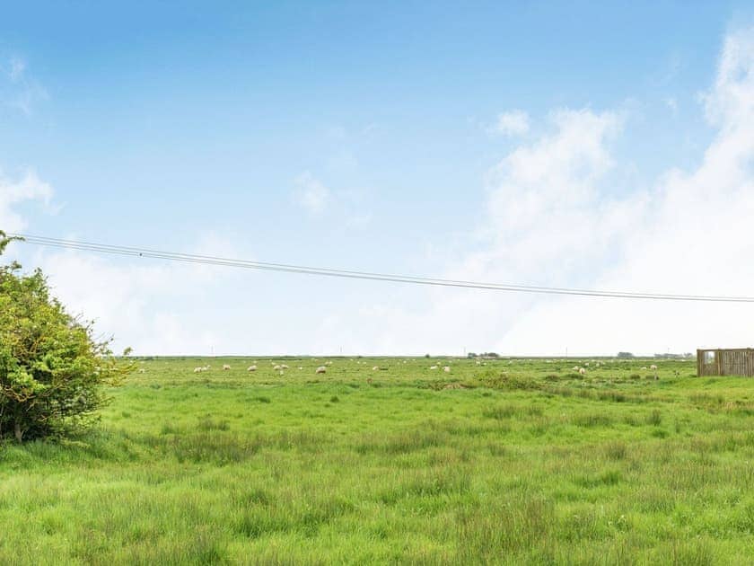View | Saltmarsh Cottage, Camber