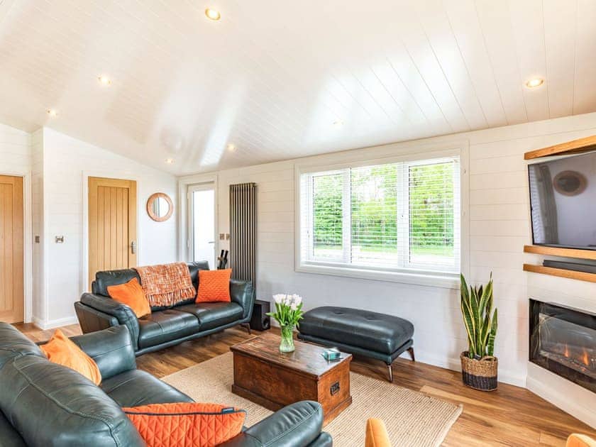 Living area | Viburnum Lodge, Mercia Marina, Willington