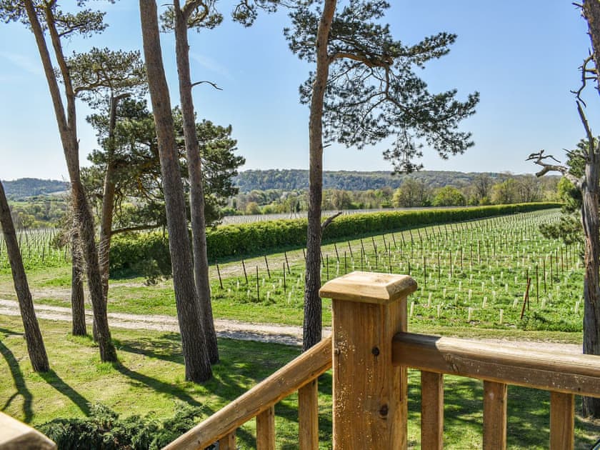 View | Vineyard View - Otium Wine Estate, Alton