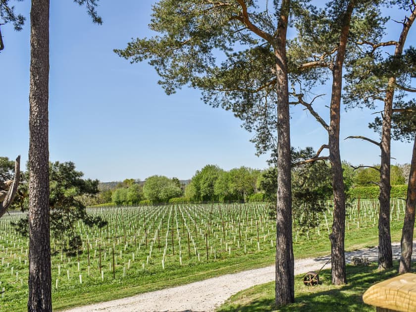 View | Vineyard View - Otium Wine Estate, Alton