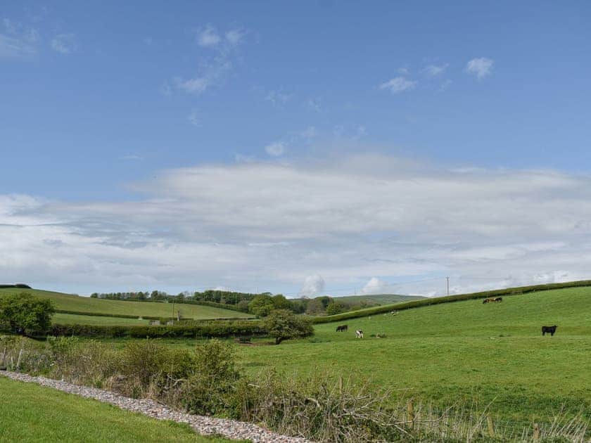 View | Pine Lodge - Dale Garth Lodges, Mascalles, near Ulverston
