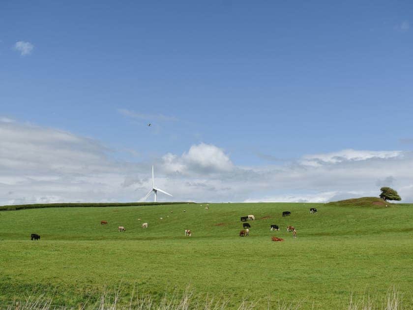 View | Pine Lodge - Dale Garth Lodges, Mascalles, near Ulverston