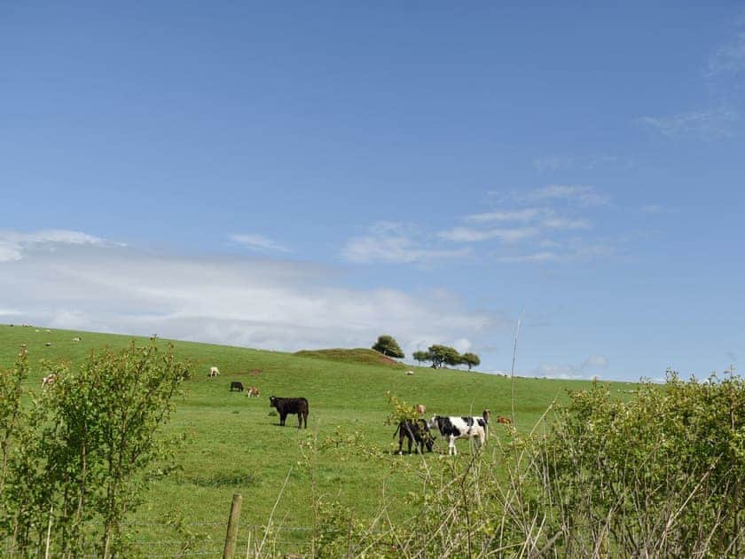 View | Pine Lodge - Dale Garth Lodges, Mascalles, near Ulverston