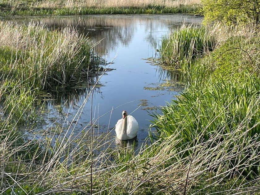 Surrounding area | Galloway FarmstayBroughton, Newton Stewart