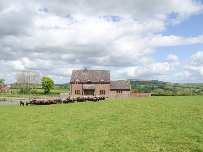 Exterior | The Larches, Hayton’s Bent