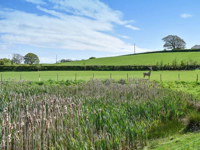 Garden and grounds | Birch Lodge - Dale Garth Lodges, Mascalles, near Ulverston