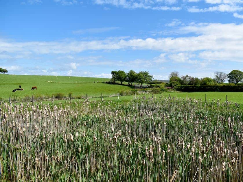 Garden and grounds | Birch Lodge - Dale Garth Lodges, Mascalles, near Ulverston