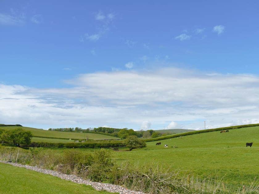 Garden and grounds | Birch Lodge - Dale Garth Lodges, Mascalles, near Ulverston
