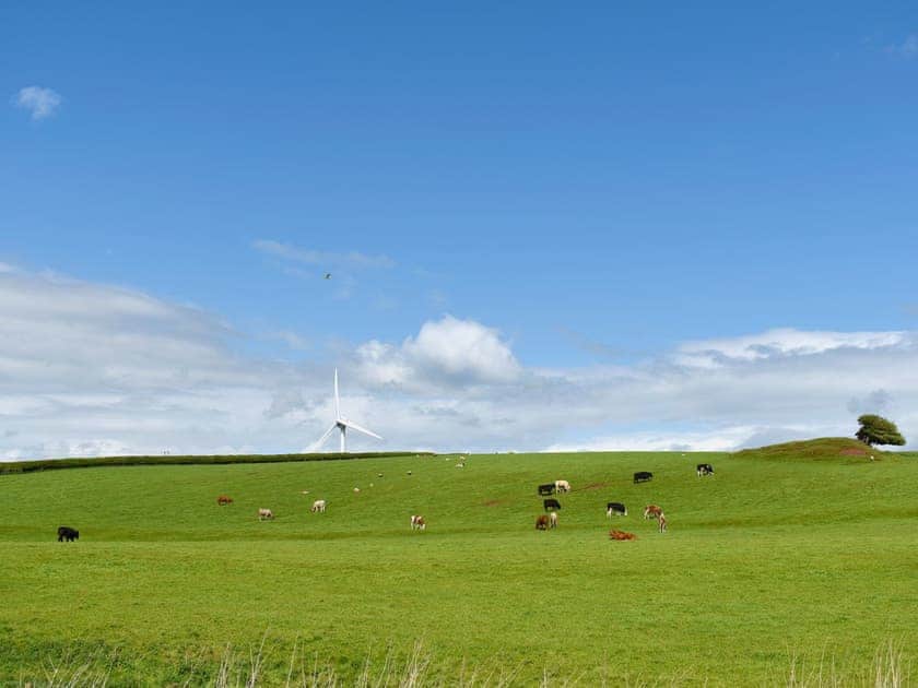 Garden and grounds | Birch Lodge - Dale Garth Lodges, Mascalles, near Ulverston