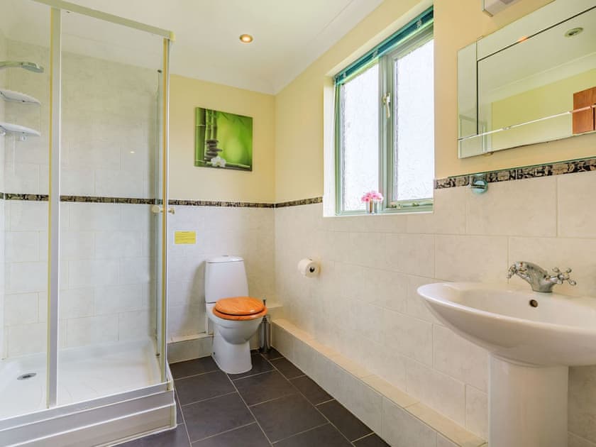 Shower room | Primrose Lodge - Higher Shorston Lakes and Lodges, Holsworthy, near Bude