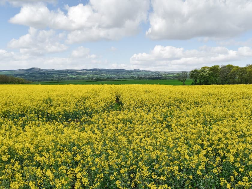 View | Falcon Cottage, Linlithgow