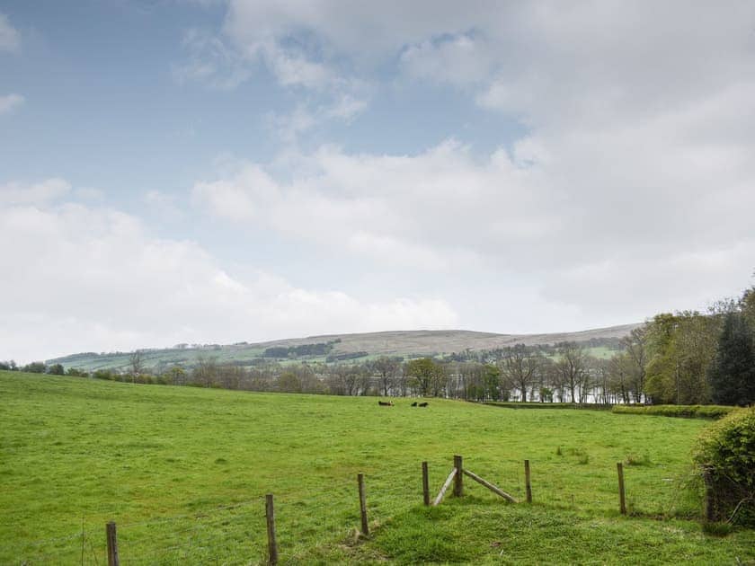 View | Spring Grove, Watermillock on Ullswater, near Pooley Bridge