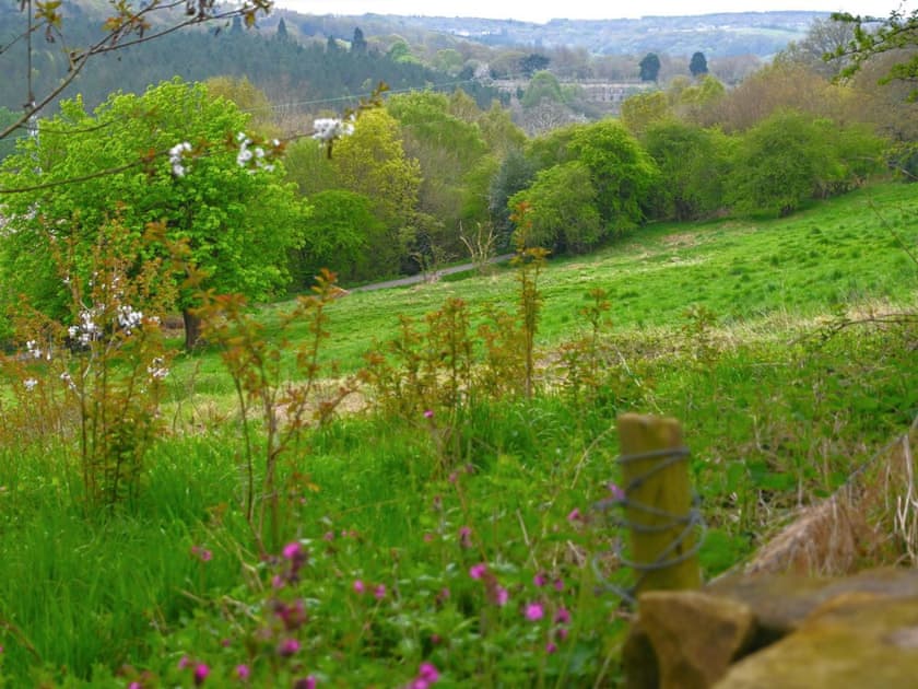 Surrounding area | Stable House - Lockhaugh Farm Cottages & Carriages, Rowlands Gill