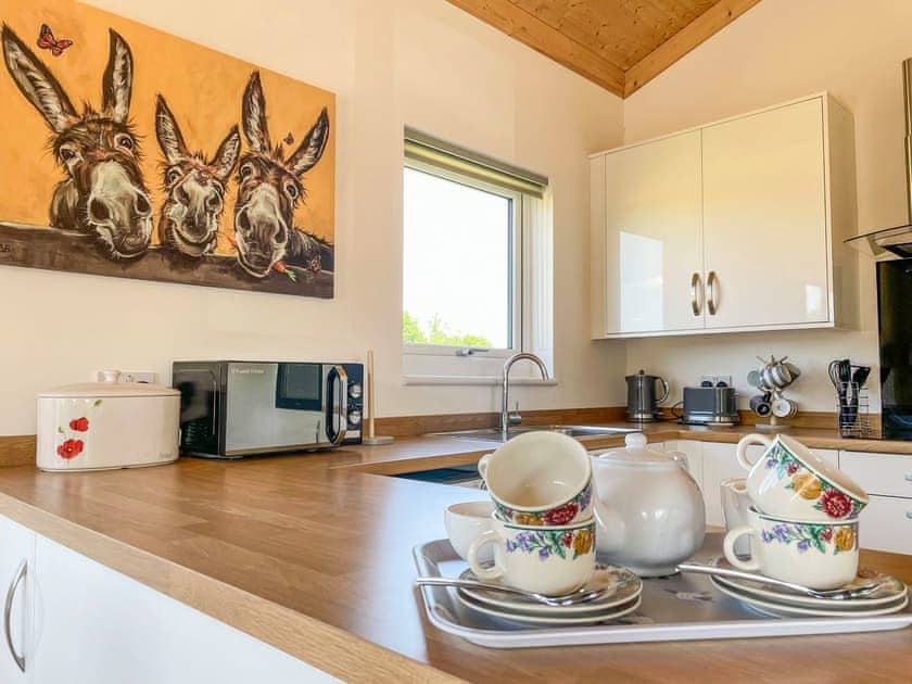 Kitchen | Aylesbury Lodge, Halstead