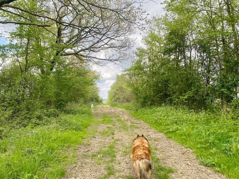 Garden and grounds | Chelworth Shepherds Huts , Cricklade