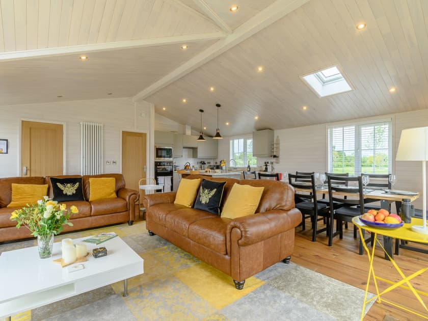 Open plan living space | Mahonia Lodge, Mercia Marina, Willington