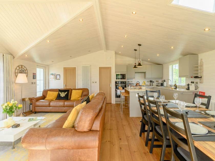 Open plan living space | Mahonia Lodge, Mercia Marina, Willington