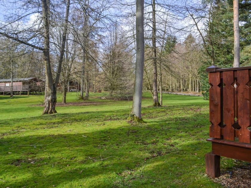 View | Cosy Lodge - Wold Lodge Leisure, Kenwick, near Louth