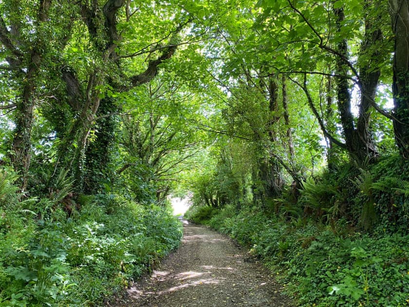 Surrounding area | Haybarn, Fowey