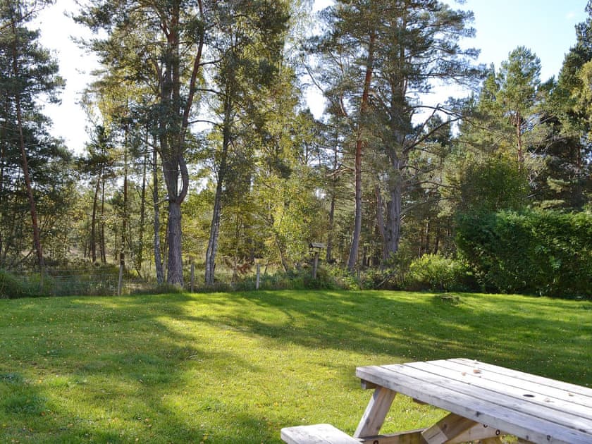 Garden | Cottertonbeag, Nethy Bridge, near Aviemore