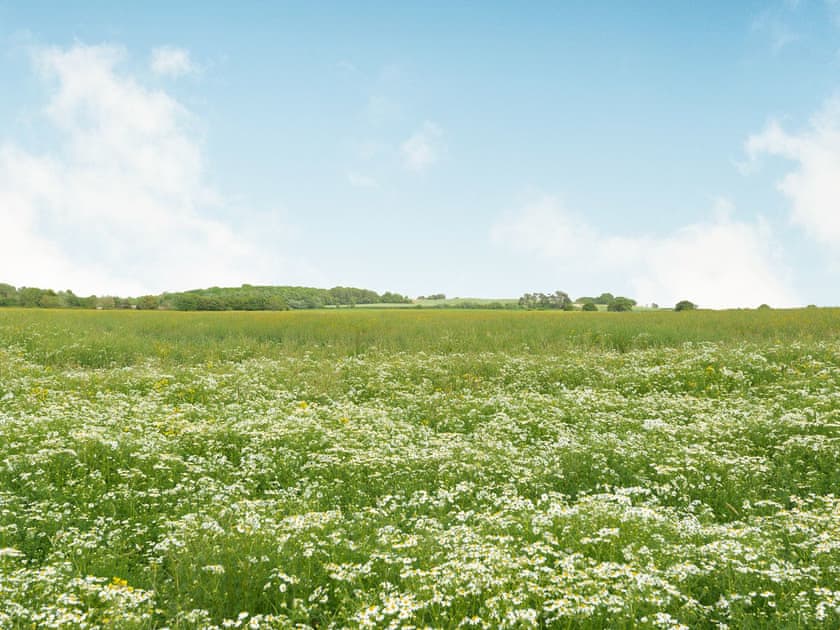 Surrounding area | The Groom’s Quarters - Panton House Farm, Wragby