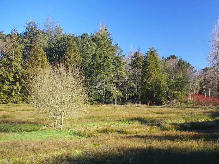 Surrounding area | The Lawns, Modbury