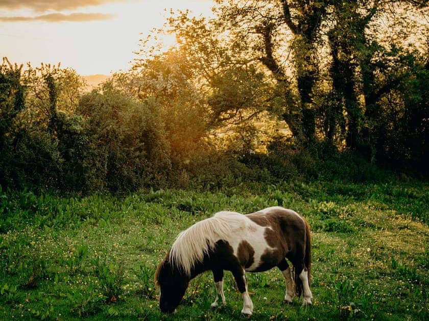 Surrounding area | Phoebe’s Folly - Kernow Retreats, Milton Abbot, near Tavistock